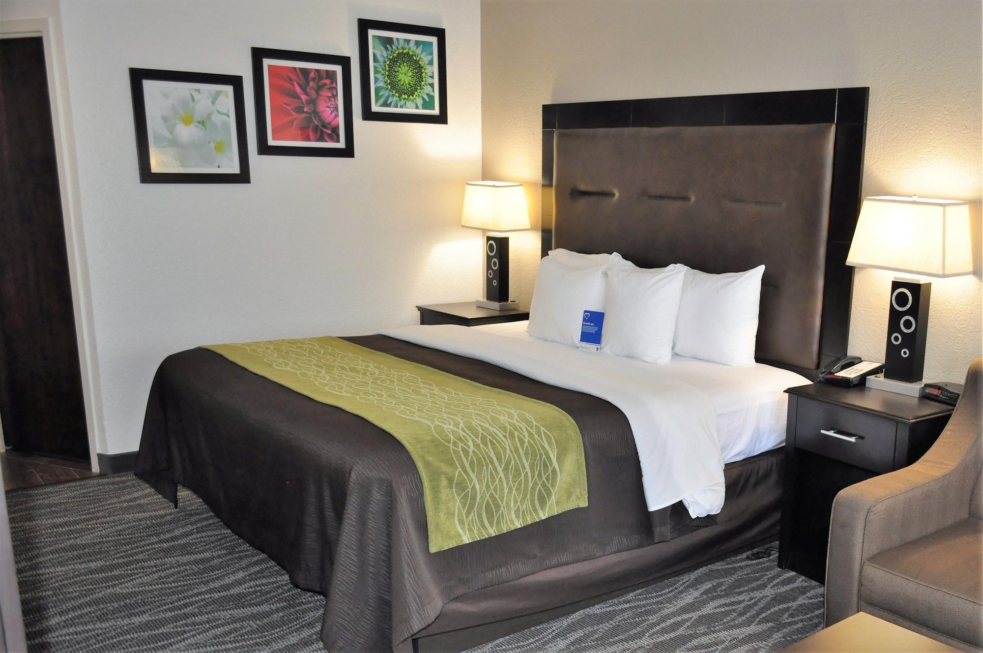 Comfort Inn Downtown Charleston Extérieur photo