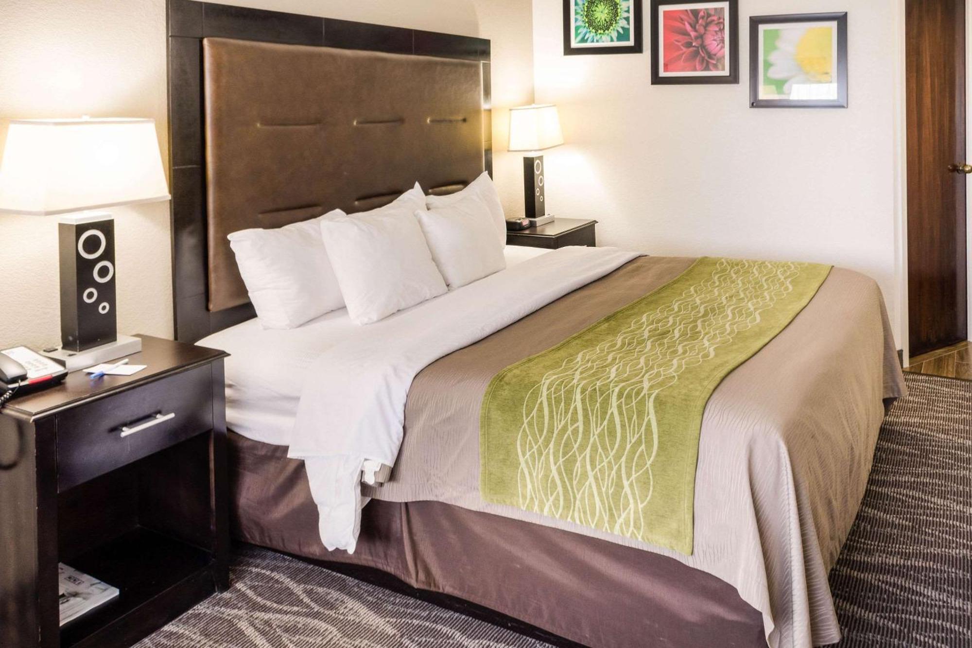 Comfort Inn Downtown Charleston Extérieur photo