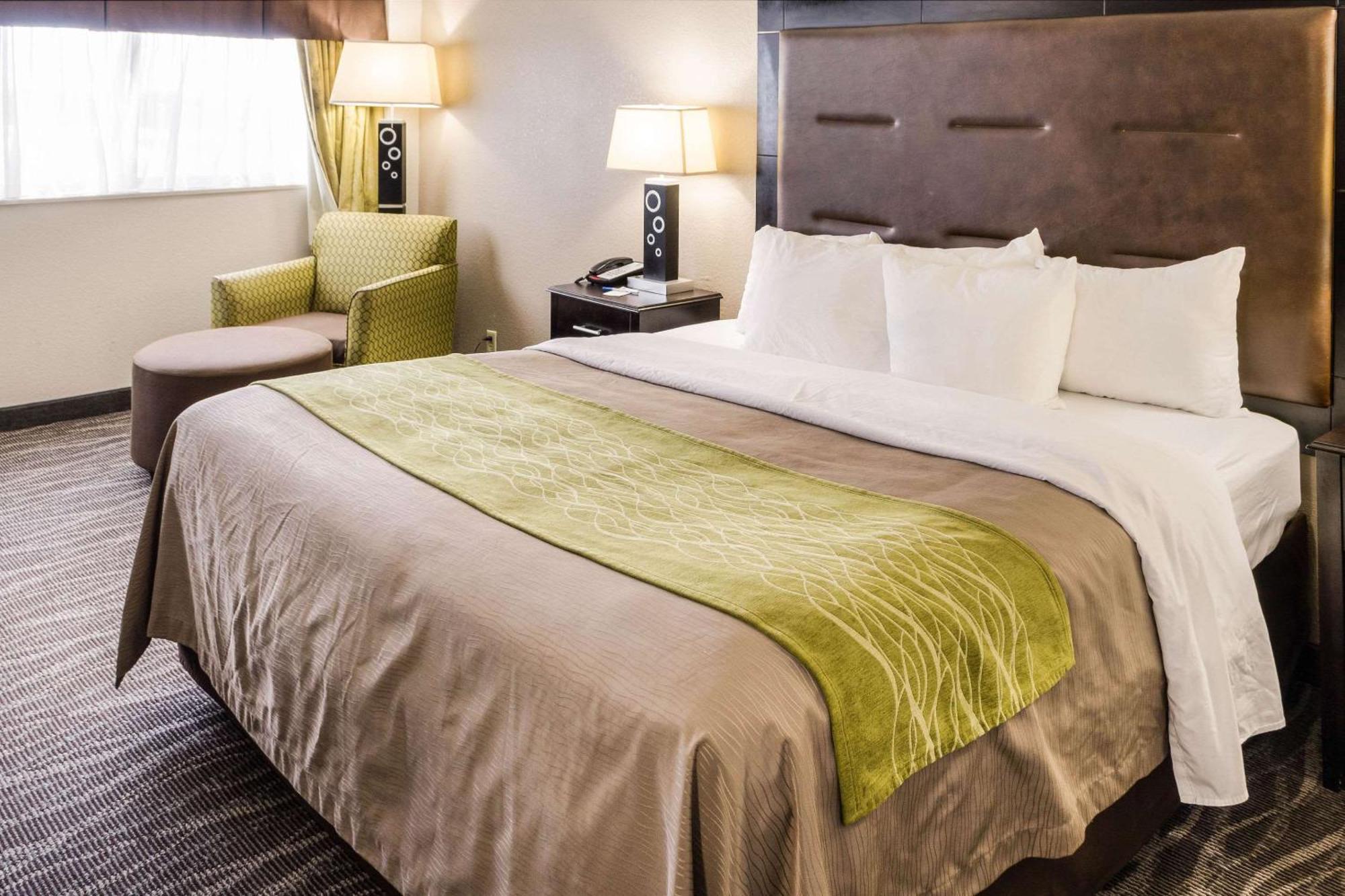 Comfort Inn Downtown Charleston Extérieur photo